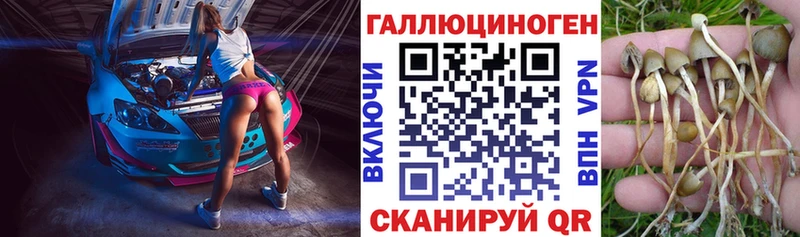 Псилоцибиновые грибы прущие грибы Чёрмоз